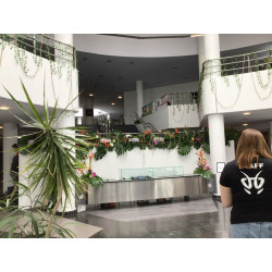 Exposant - CURIOSUM 2026