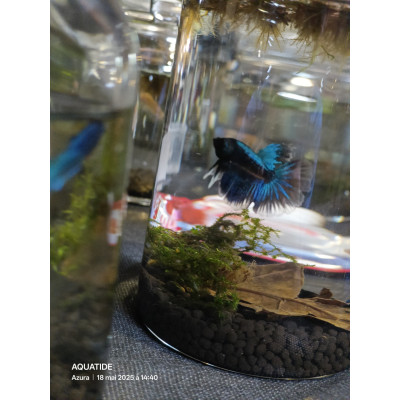 Exposant - AQUATIDE 2026