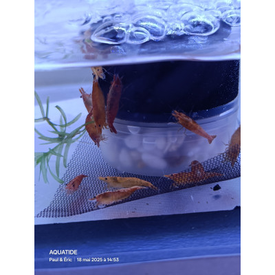 Exposant - AQUATIDE 2026