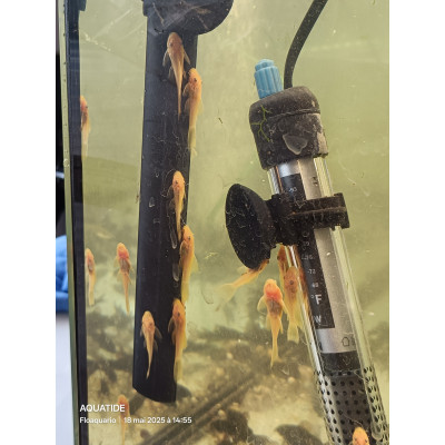 Exposant - AQUATIDE 2026