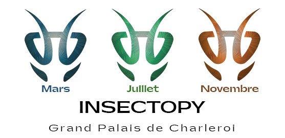 Notre Expo Originelle